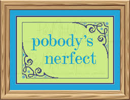 Pobody's Nerfect
